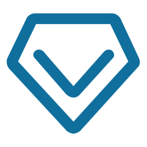 專業(yè)服務團隊